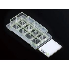SPL 8-well cell culture slide (glass with PS frame)